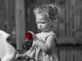 Baby-Photography-16.jpg