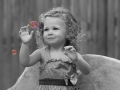 Baby-Photography-18.jpg