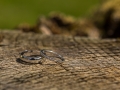 Wedding-photography-Culcreuch-Castle-005.jpg