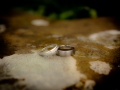 wedding photography Piersland house Hotel-003.jpg